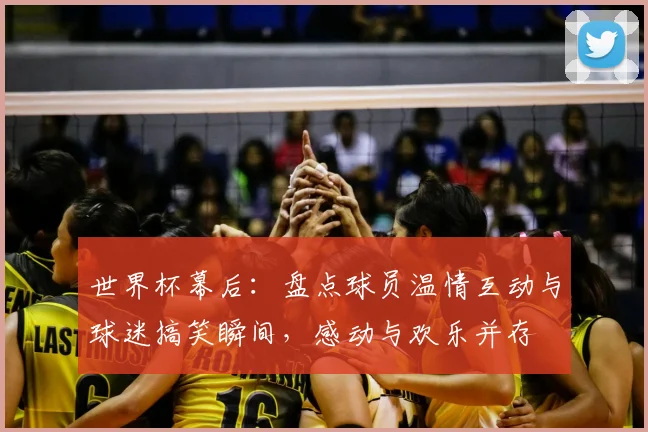 世界杯幕后：盘点球员温情互动与球迷搞笑瞬间，感动与欢乐并存